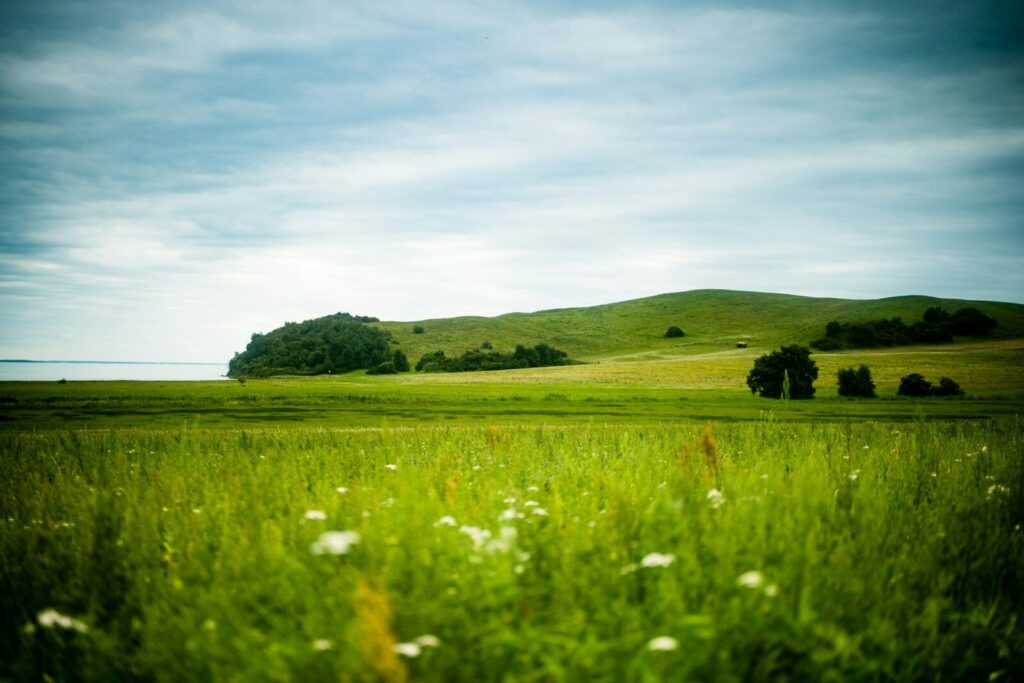 Compensación de exposición en una hermosa imagen de paisaje.
