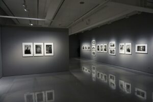 Lee más sobre el artículo La fascinación del arte fotográfico: Creatividad y técnica unidas