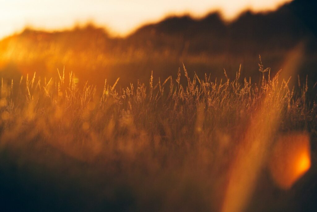 Fotograf, der eine Landschaft während der goldenen Stunde aufnimmt.