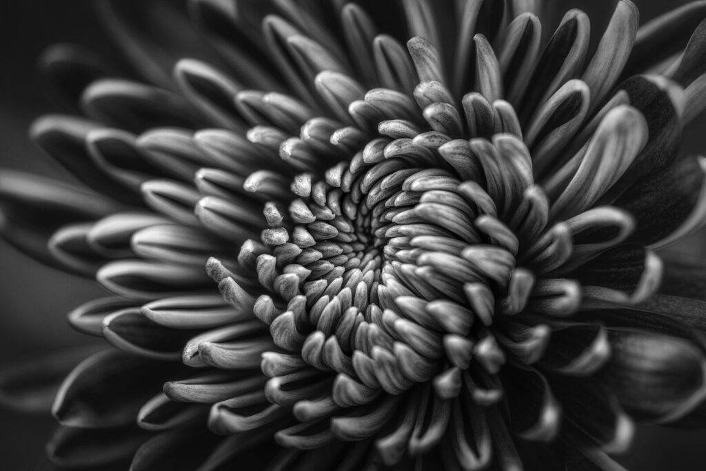 Schwarz-Weiss Fotografie mit Kontrasten und Silhouette.