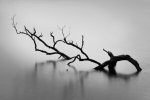 Scopri di più sull'articolo Fotografia in bianco e nero: Tecniche e ispirazione per fotografi creativi
