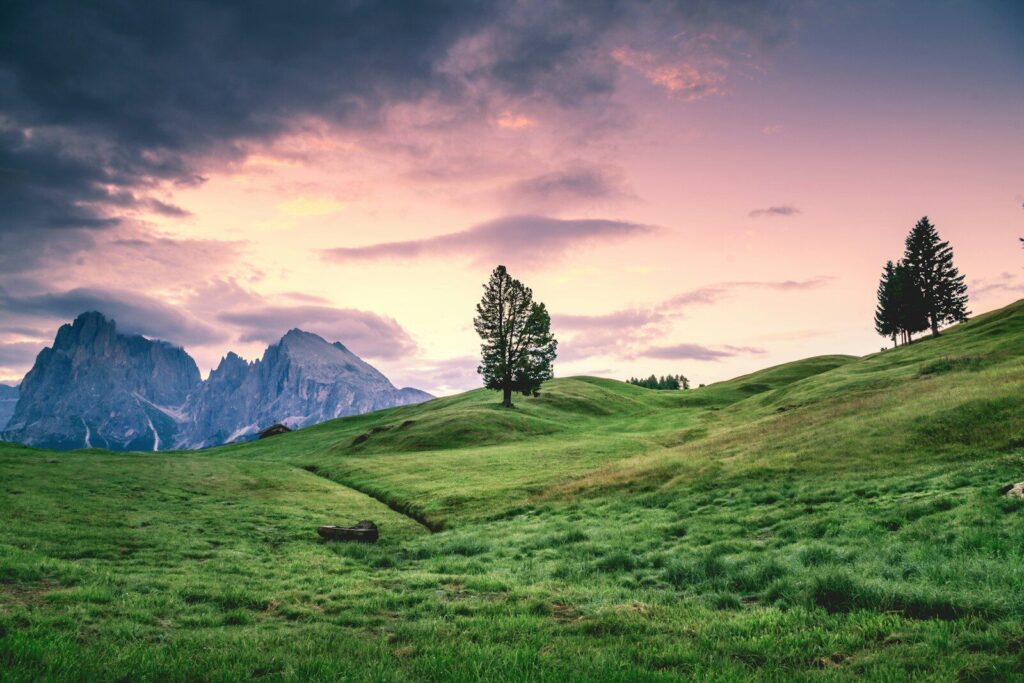 Smartphone fotografiert atemberaubende Landschaft bei Sonnenuntergang.